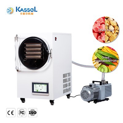 50kg/parti kivi meyve dondurucu kurutma makinesi