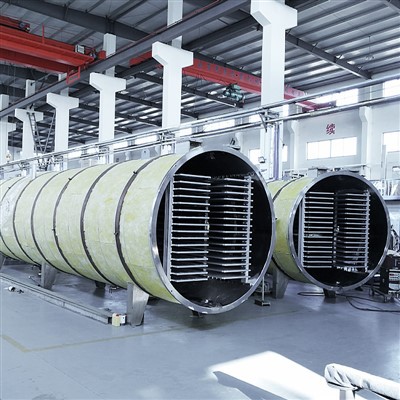 Özel Gıda Vakum Dondurucu Kurutucu Tedarikçisi